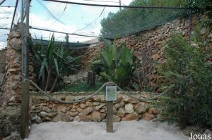 Mixed-species exhibit with great horned owls and giant wood-rails