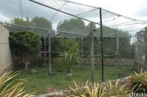 Squirrel monkeys exhibit