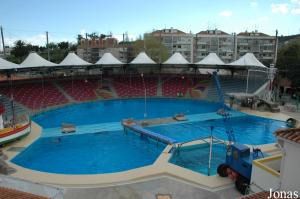 Dolphinarium