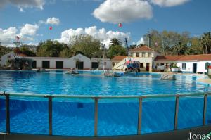 Dolphinarium