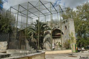 Aviary for three species of ibises