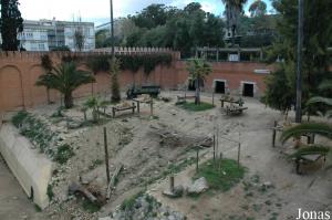 Exhibit of the lions viewed from the cable lift