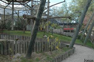 Aviary for coconut lorikeets at the entrance of the cable lift