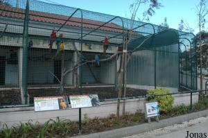 Aviaries in Lisbon Zoo