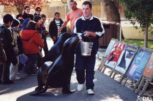 Sea lions feeding