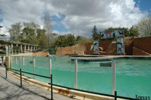 Pool of the seals and sea lions