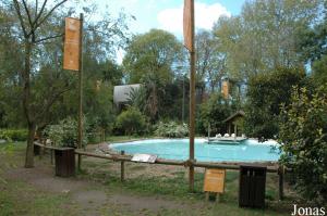 Pelicans pond in the historic gardens