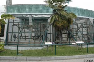 Cages for guenons and macaques