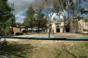 Indian rhinoceros exhibit