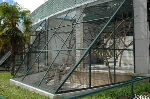 Howler monkeys cage