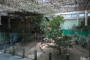 Exhibit for the Komodo dragons in the vivarium