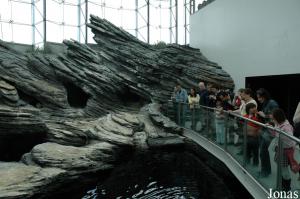 Antarctic Ocean display