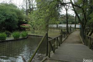 Enclosure for waterfowls