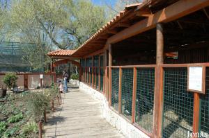 Vegetable garden and some stables for domesticated animals