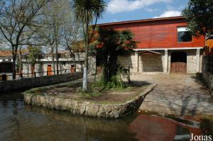 Exhibit of the hippopotamus