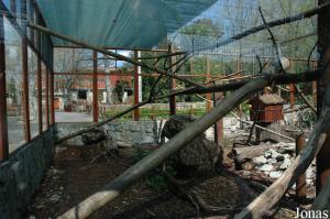 Cage of the black-and-white ruffed lemurs and the red-fronted lemurs