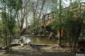 Enclosure for some waterbirds