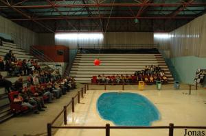 Pool for the show with the fur seal