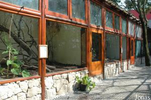 Cages of the marmosets