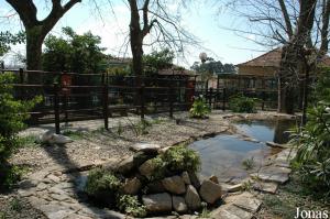 Enclosure of the yellow-billed storks