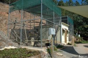 Capuchins and bamboo lemurs cages