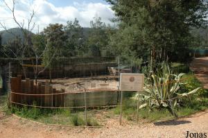 Phillipine spotted deer enclosure