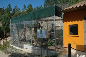 Greater bamboo lemurs cage