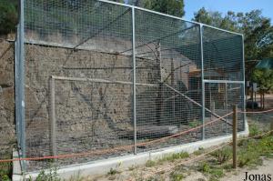 Greater bamboo lemurs cage