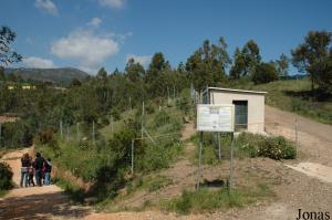 Cheetahs enclosure