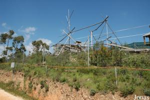 Lion-tailed macaques enclosure