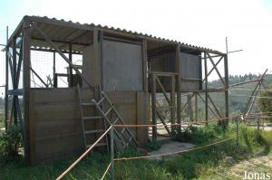 Lion-tailed macaques inside facilities