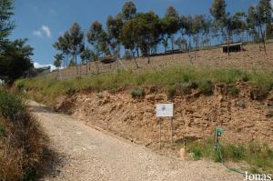 Barbary sheep enclosure