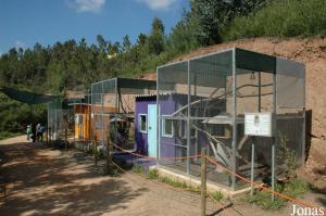 Cages for parakeets and lemurs