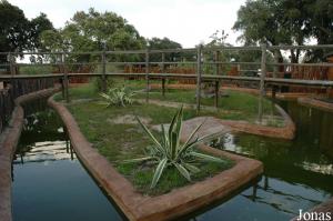 Nice crocodiles exhibit