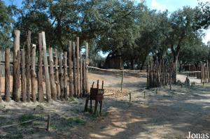 Enclosure of the llamas