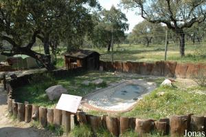 Red-eared sliders exhibit