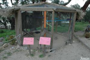 Aviary of the turacos and the glossy-starlings