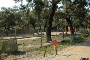 Red-necked wallabies enclosure