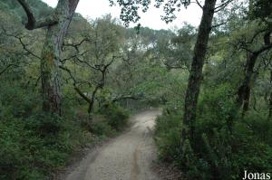 Natural setting of the park