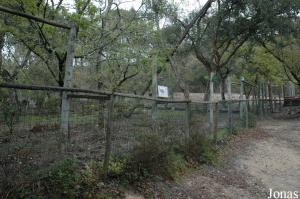 Northern cassowary enclosure