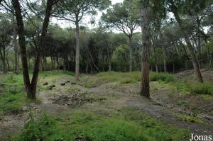 Llama enclosure