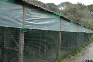 Aviaries for parrots