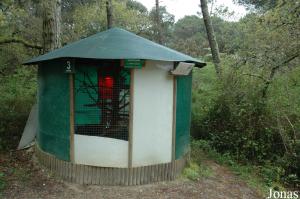 Cage of the squirrel monkey