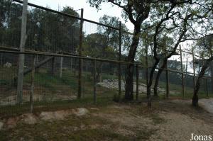 Tiger enclosure