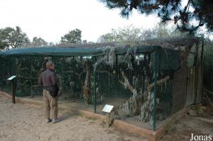 Aviaries for parrots