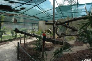 Walk-through aviary for macaws