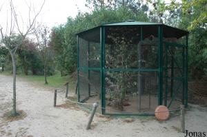 Aviary for parrots