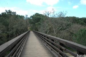 Bridge to cross a valley and to reach the safari part