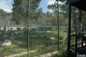 Tigers enclosure in the safari