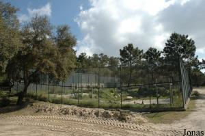 Tigers enclosure in the safari